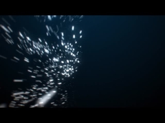 Νέα αναβάθμιση 316 από ανοξείδωτο χάλυβα 18watt IP68 Αδιάβροχο LED υποβρύχιο φως