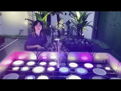 Φως λιμνών PAR56 οδηγήσεων