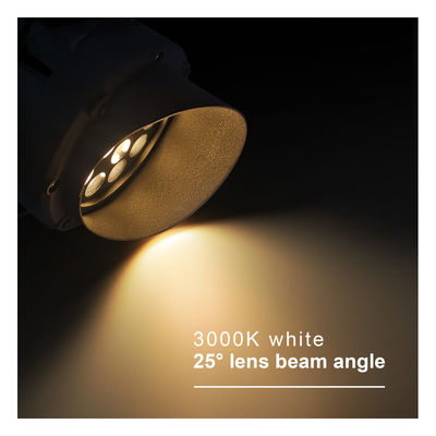 Υψηλή φωτεινότητα Στρογγυλό εξωτερικό RGB LED Φώτα IP65 LED Τοπίο Δέντρο