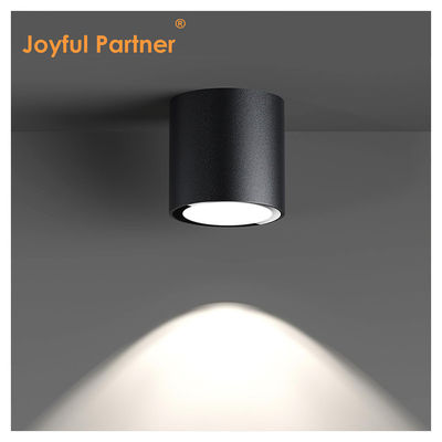 IP65 Φως οροφής Επιφάνεια τοποθετημένο φως κάτω Ανερόφθαλμο φως 6000K Smd Λευκό LED DownLight