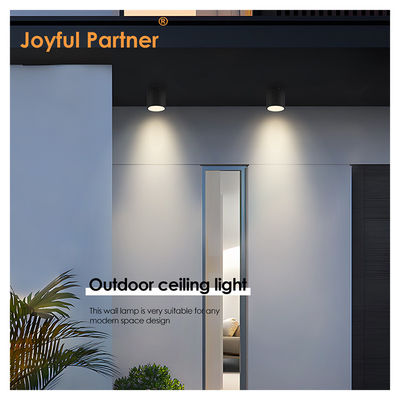 Spot Garden LED Ceiling Light Επιφάνεια Εγκατασταθείσα κυλινδρικό αλουμίνιο 220V 8W 3000K Ζεστό λευκό