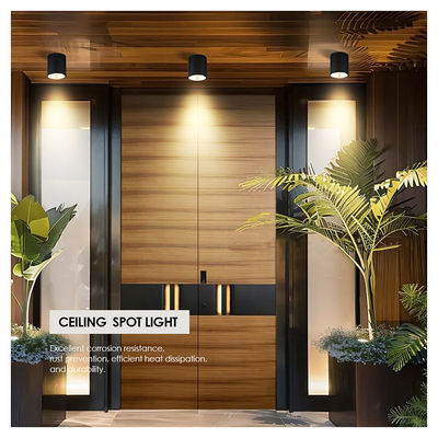 12W COB LED Downlight Κύλινδρο Φωτισμός τοίχου Φωτισμός Σύνθετος σχεδιασμός επιφάνειας για εξωτερικές εφαρμογές