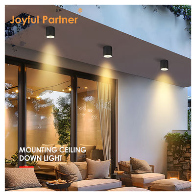 Εξωτερικά φώτα Led Yard για πύλη AC 220v Θέρμα λευκό και δροσερό λευκό υλικό αλουμινίου 15W LED φώτα τοίχου COB